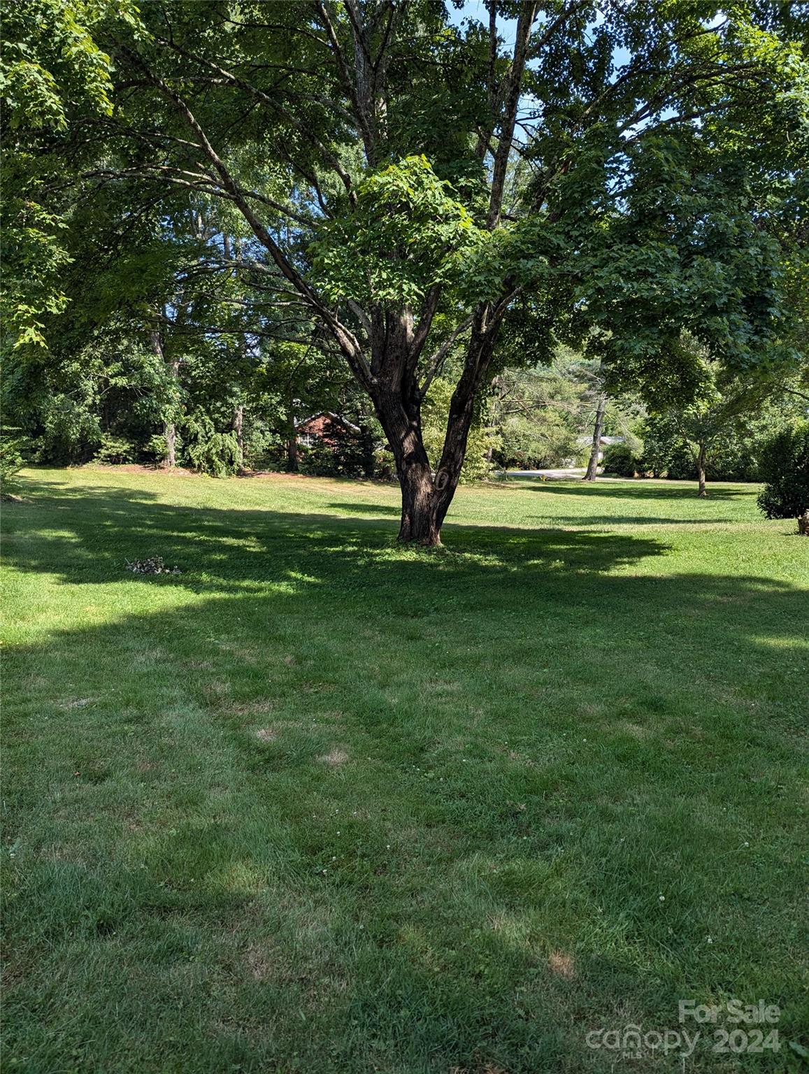 3106 Brevard Road Property Photo 19