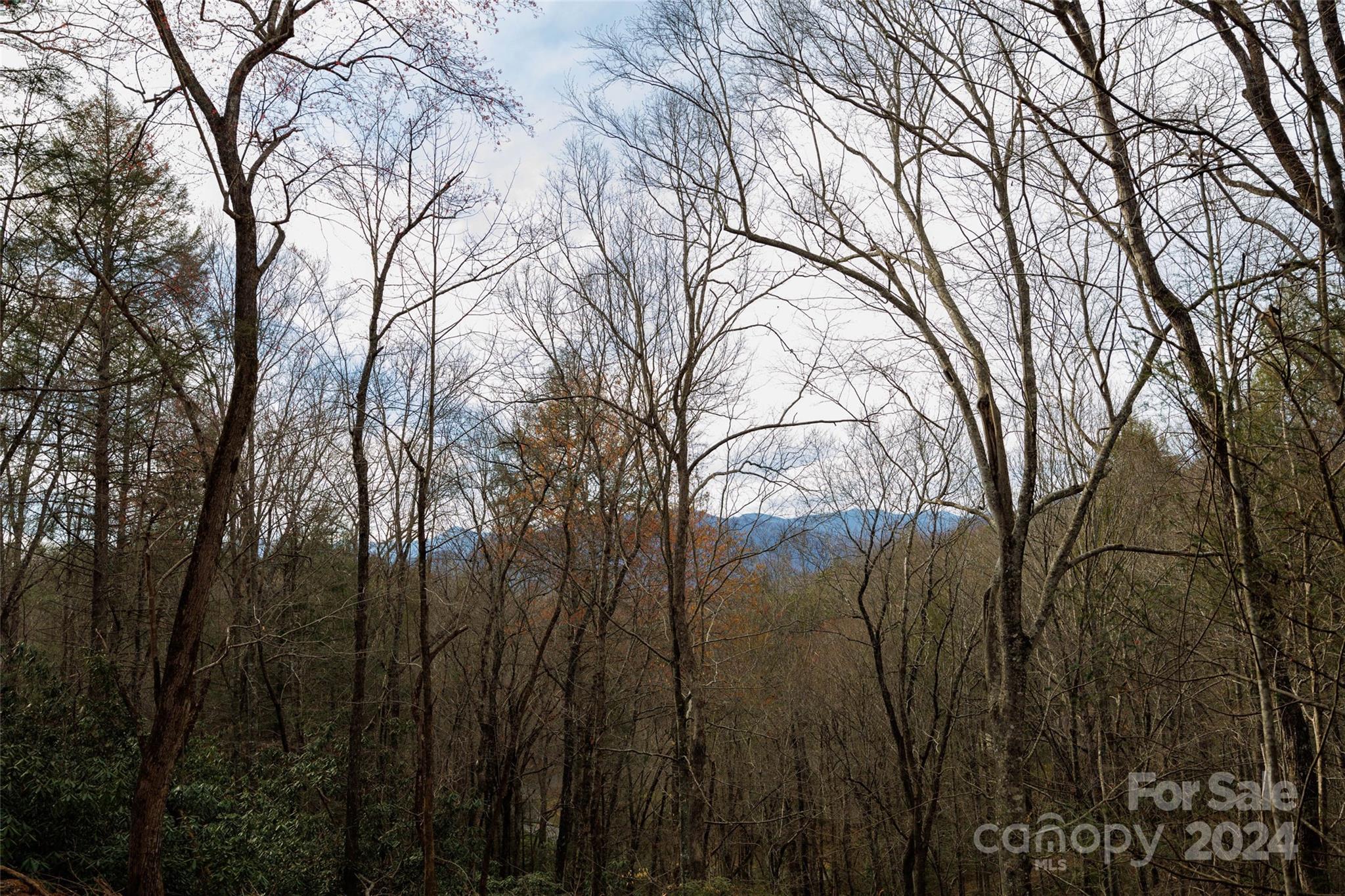 0 Lytle Mountain Road Property Photo