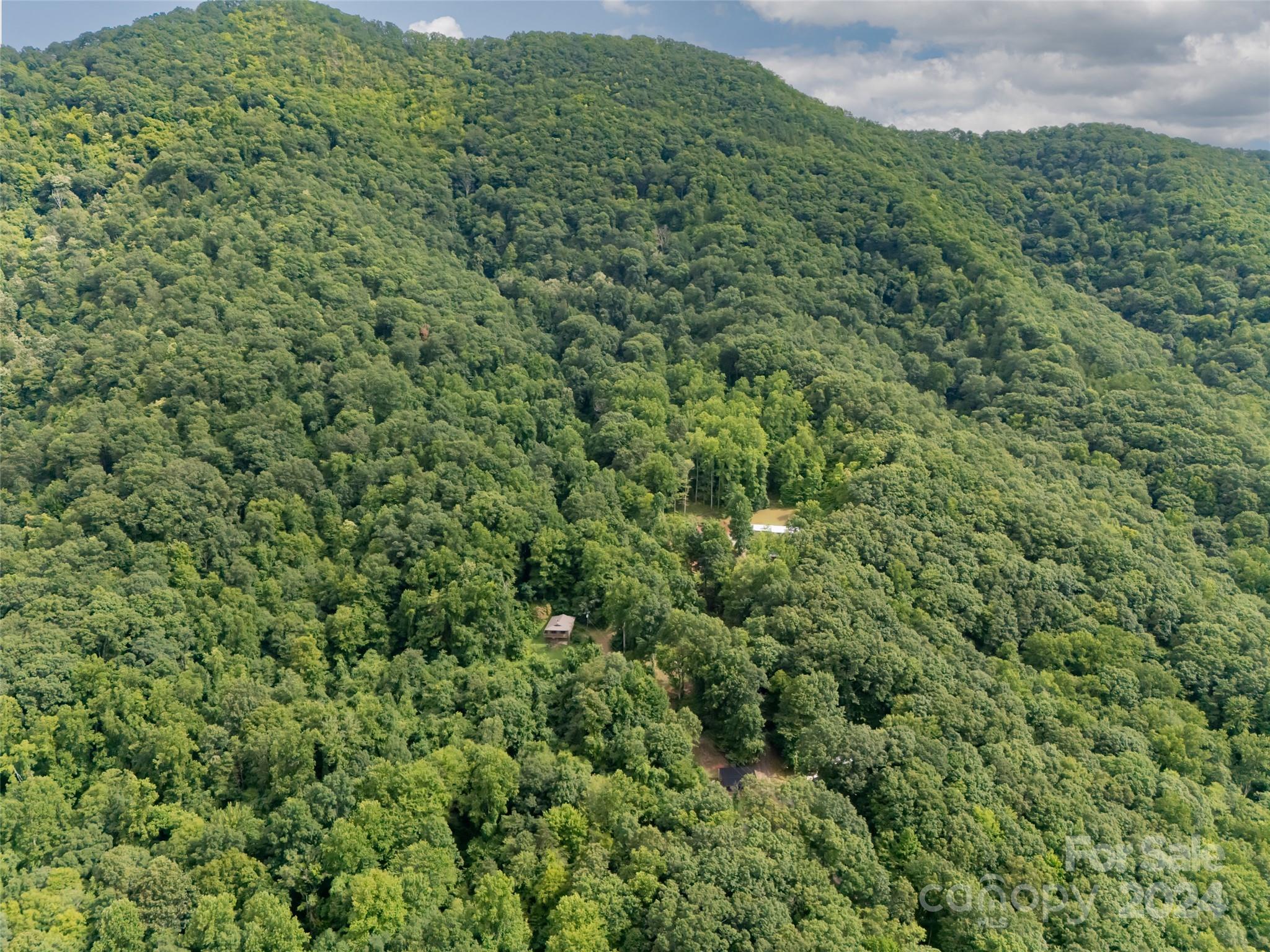 119 Pinnacle Mountain Road Property Photo 30