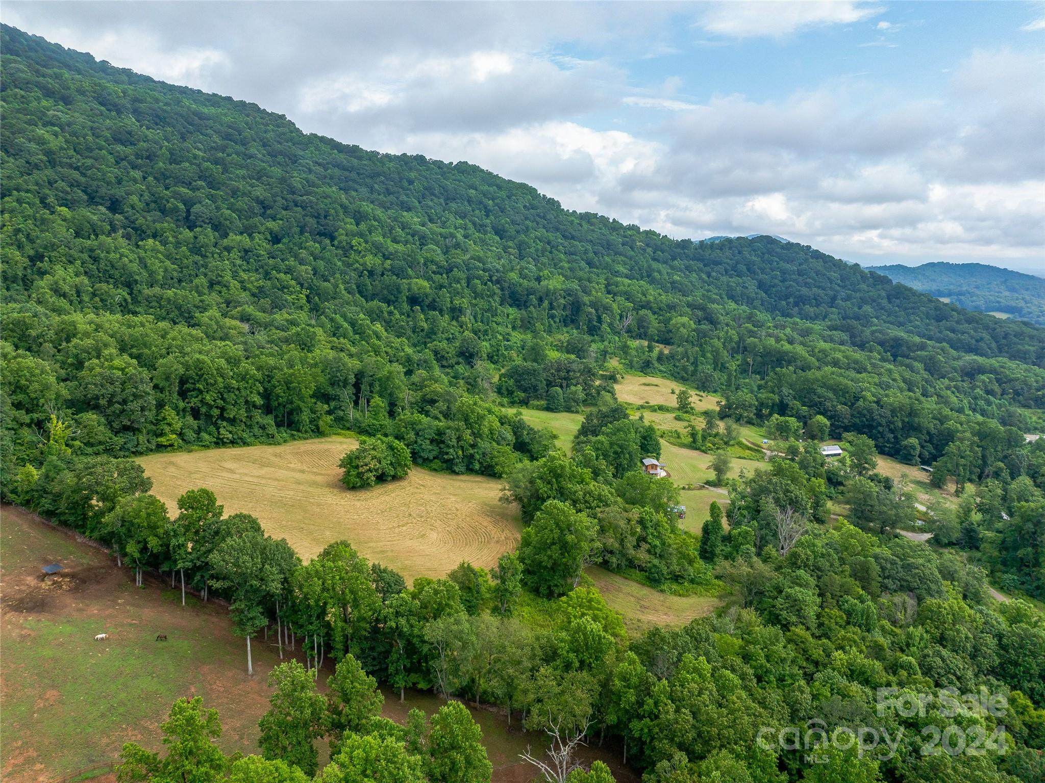 1397 & 1401 Newfound Road Property Photo 28