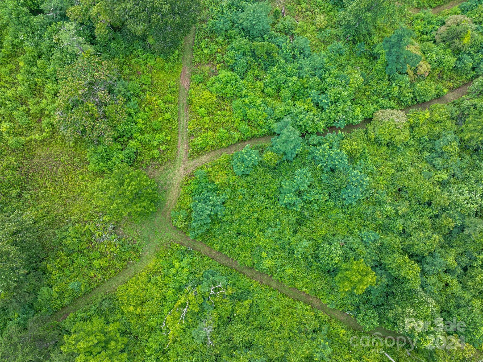 1397 & 1401 Newfound Road Property Photo 35