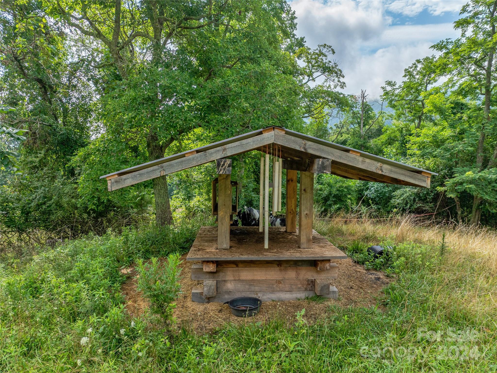1397 & 1401 Newfound Road Property Photo 39