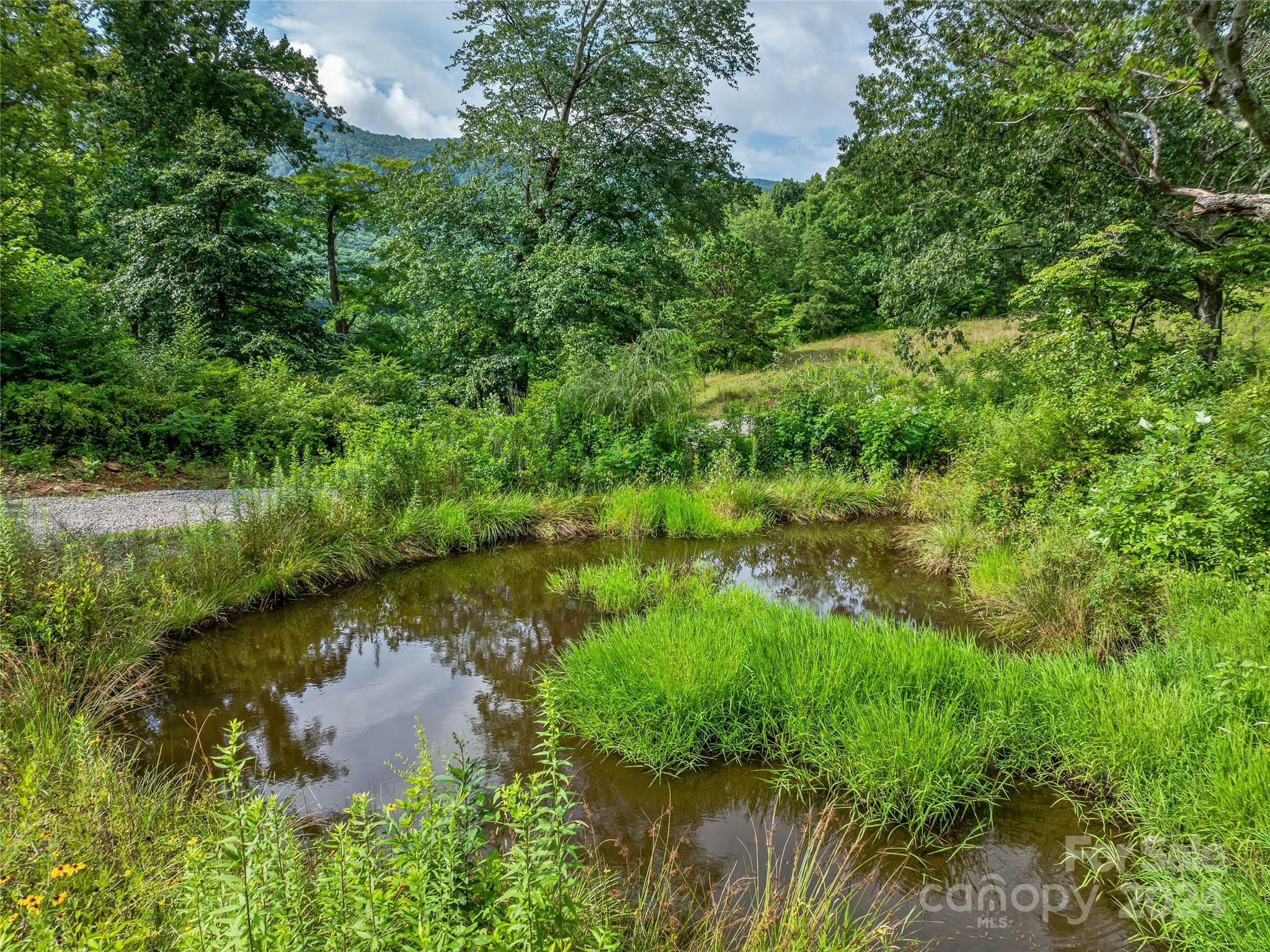 1397 & 1401 Newfound Road Property Photo 42