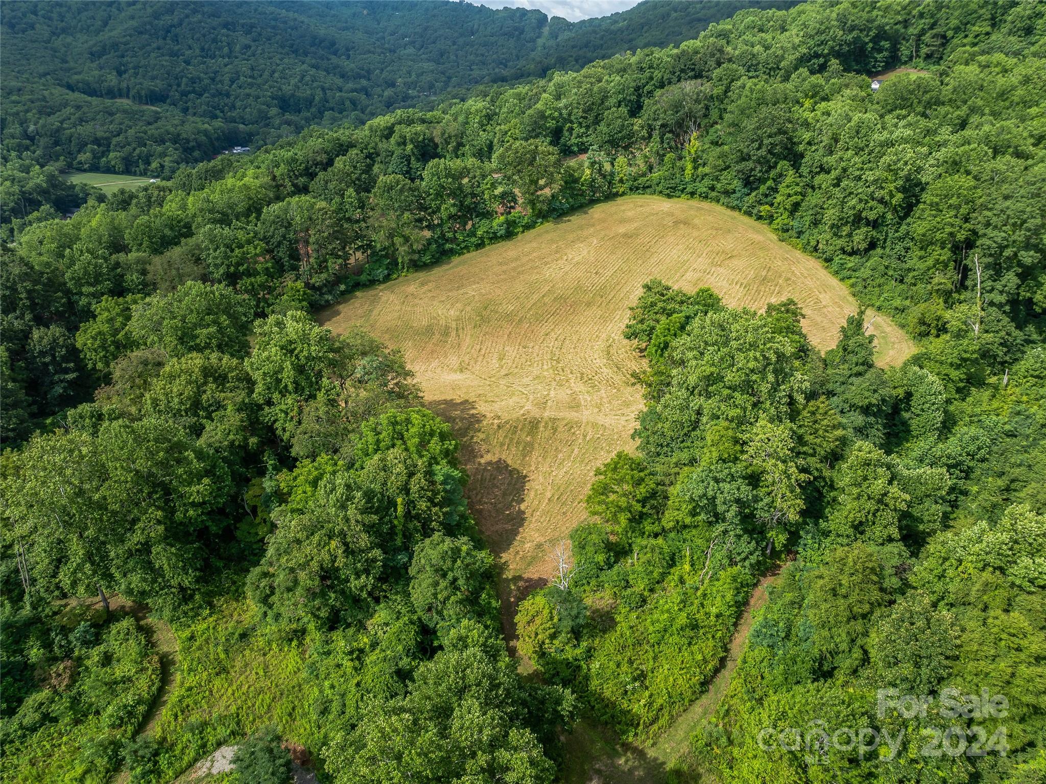 1397 & 1401 Newfound Road Property Photo 43