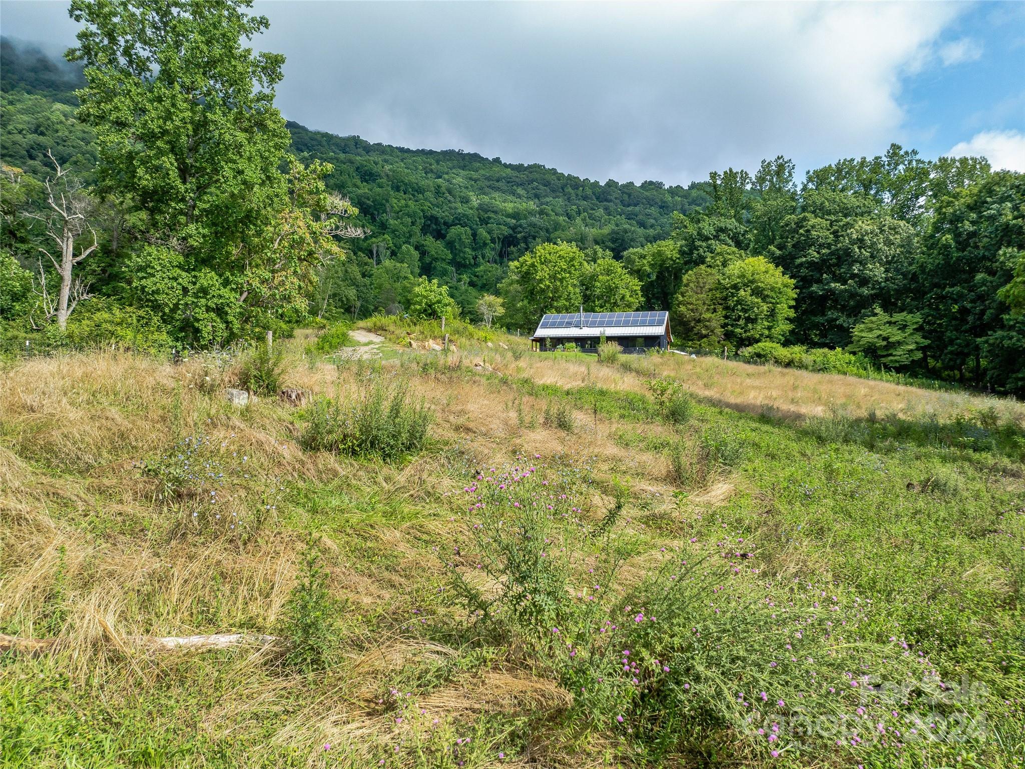 1397 & 1401 Newfound Road Property Photo 44