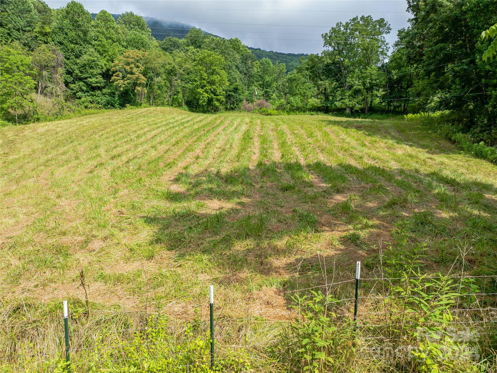 1397 & 1401 Newfound Road Property Photo 46