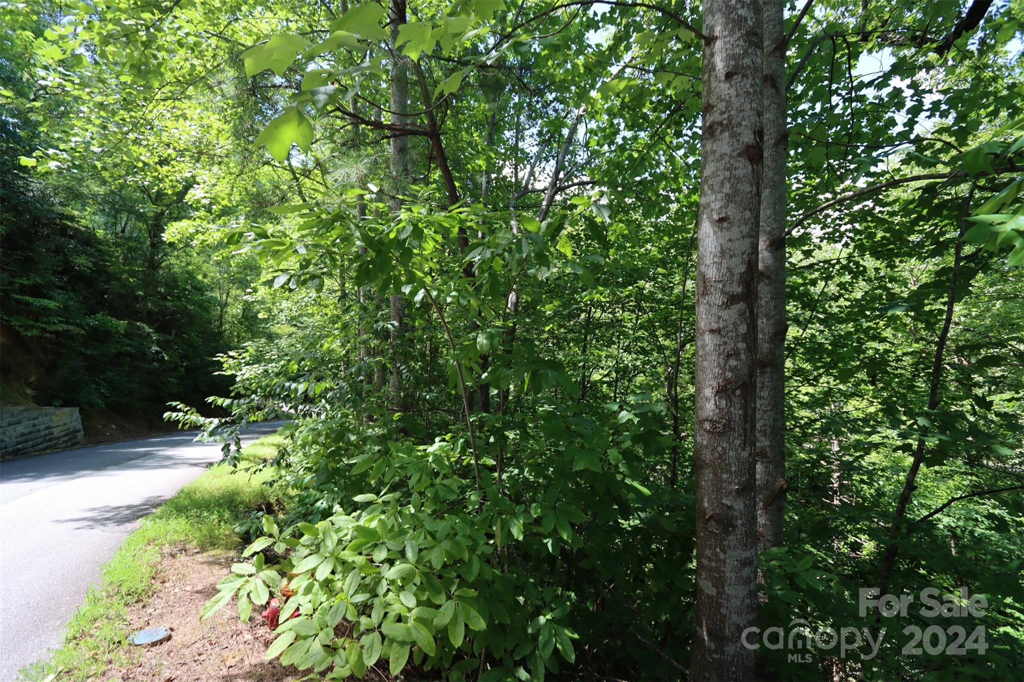 595 Quail Ridge Boulevard Property Photo 12
