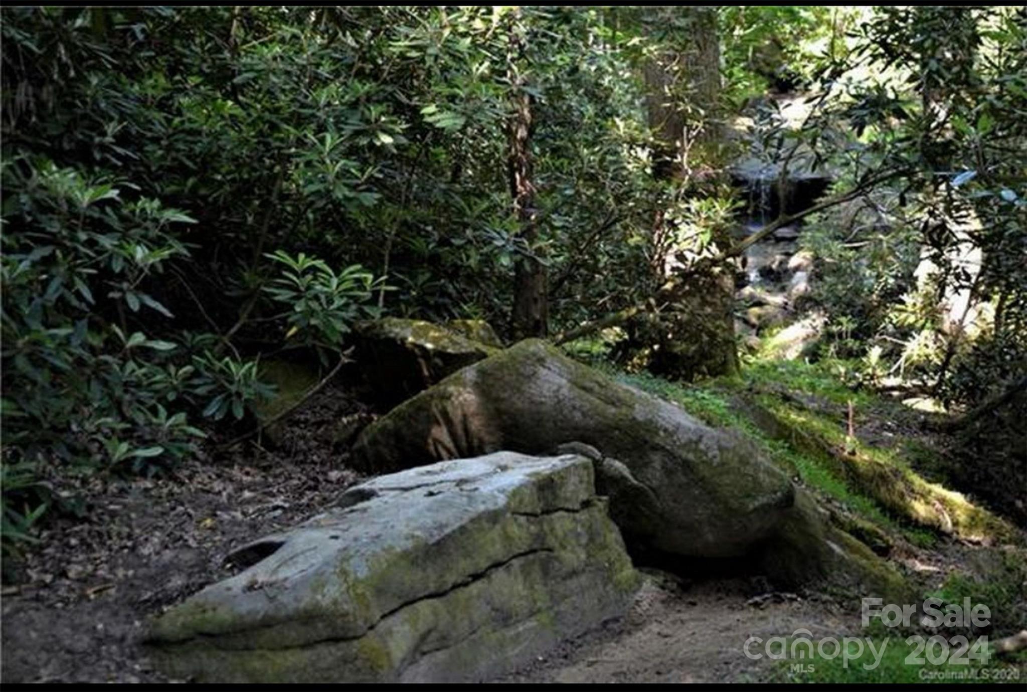 595 Quail Ridge Boulevard Property Photo 15