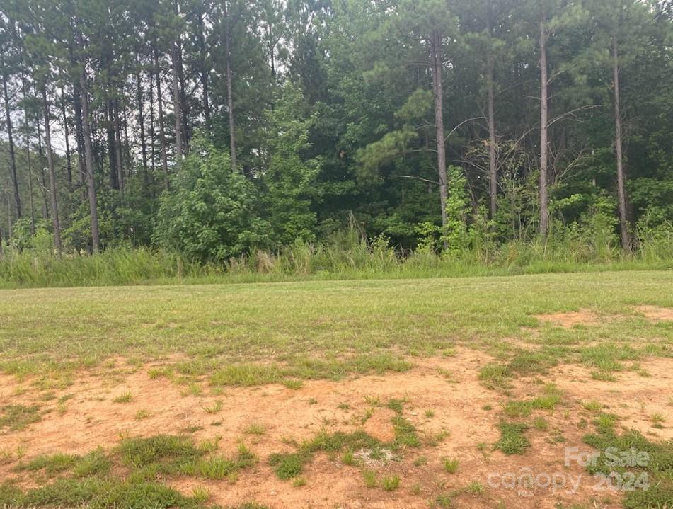 315 Grassy Ridge Court 54 Property Photo 2