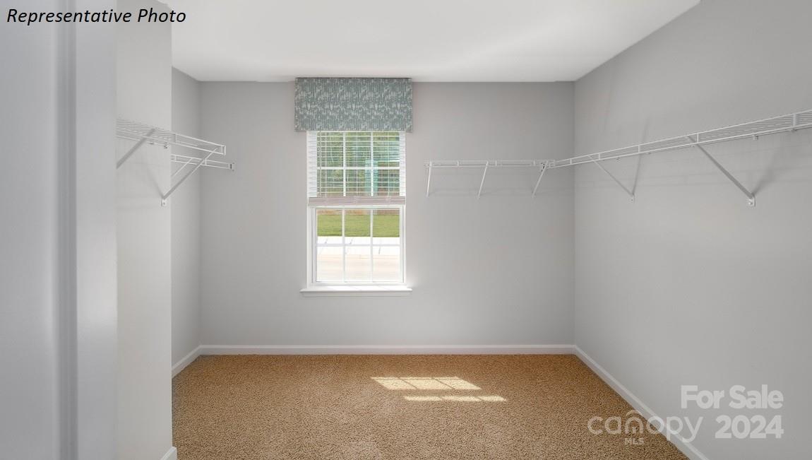198 Giant Oak Avenue Property Photo 28