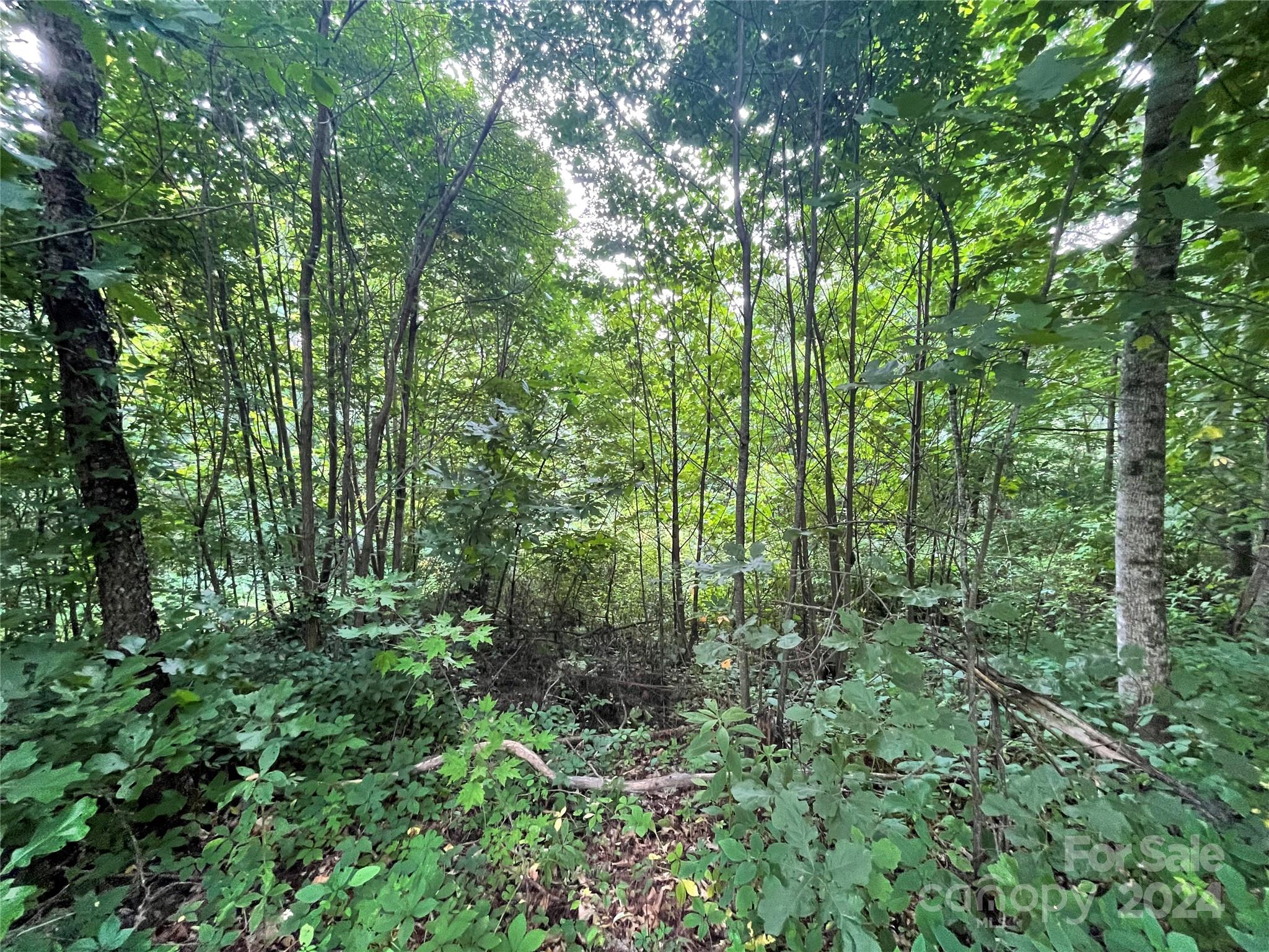 Tbd Friendly Acres Drive Property Photo 7