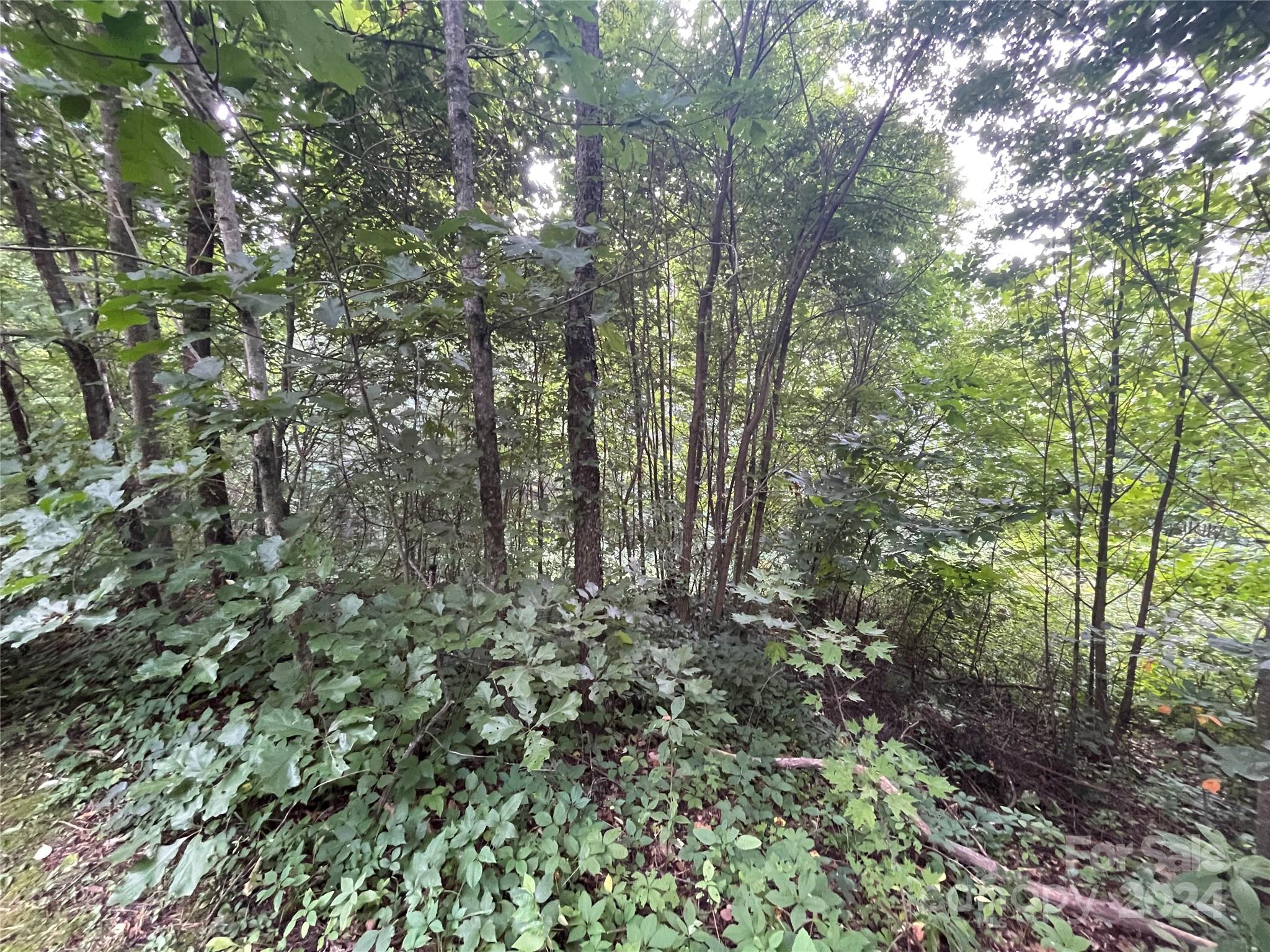 Tbd Friendly Acres Drive Property Photo 8