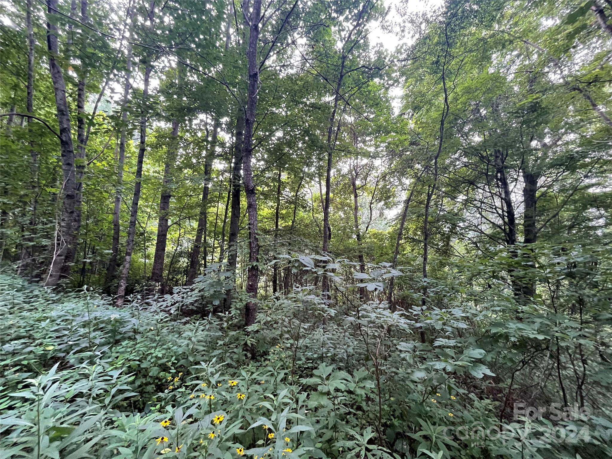 Tbd Friendly Acres Drive Property Photo 9