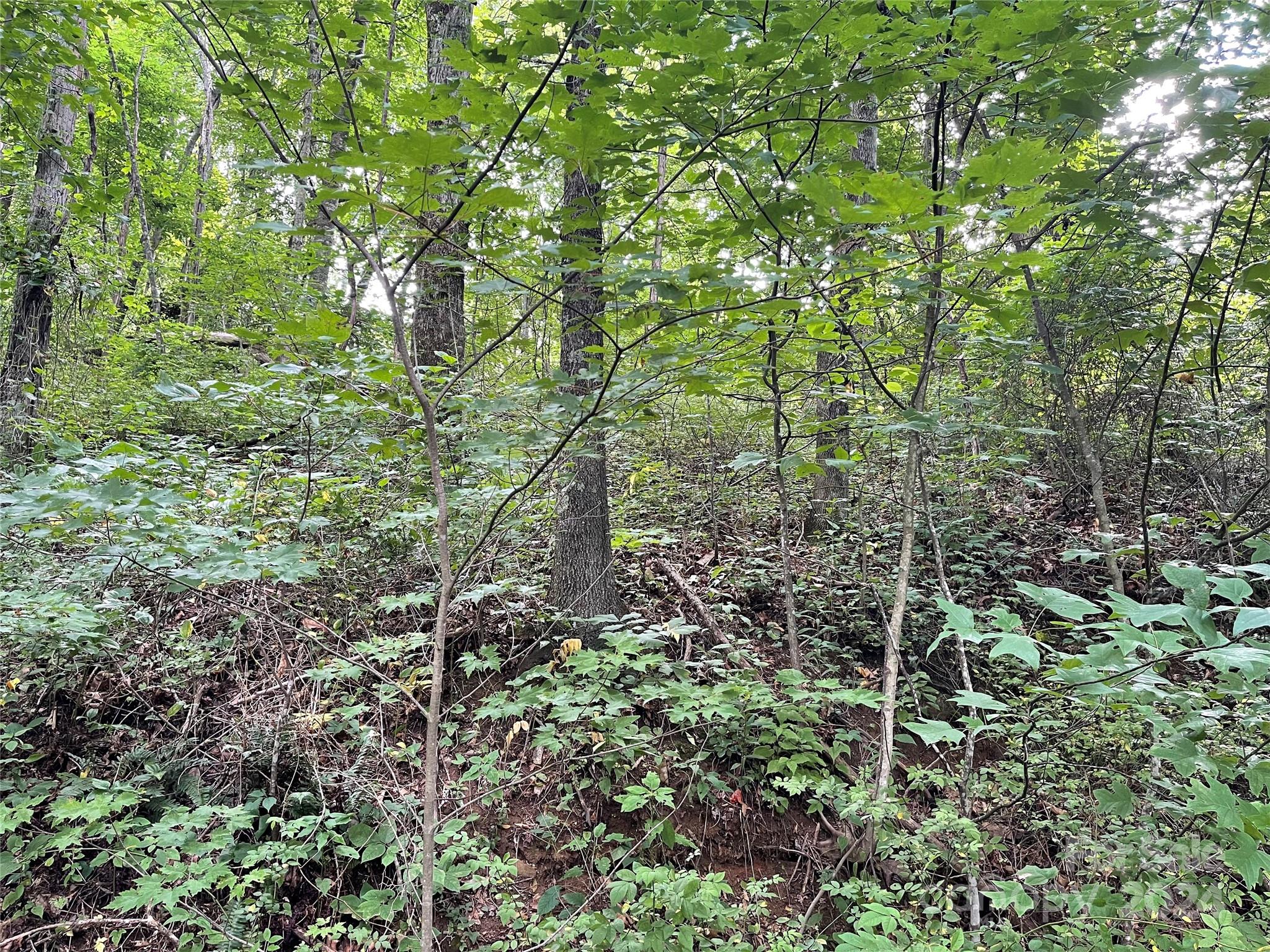 Tbd Friendly Acres Drive Property Photo 10