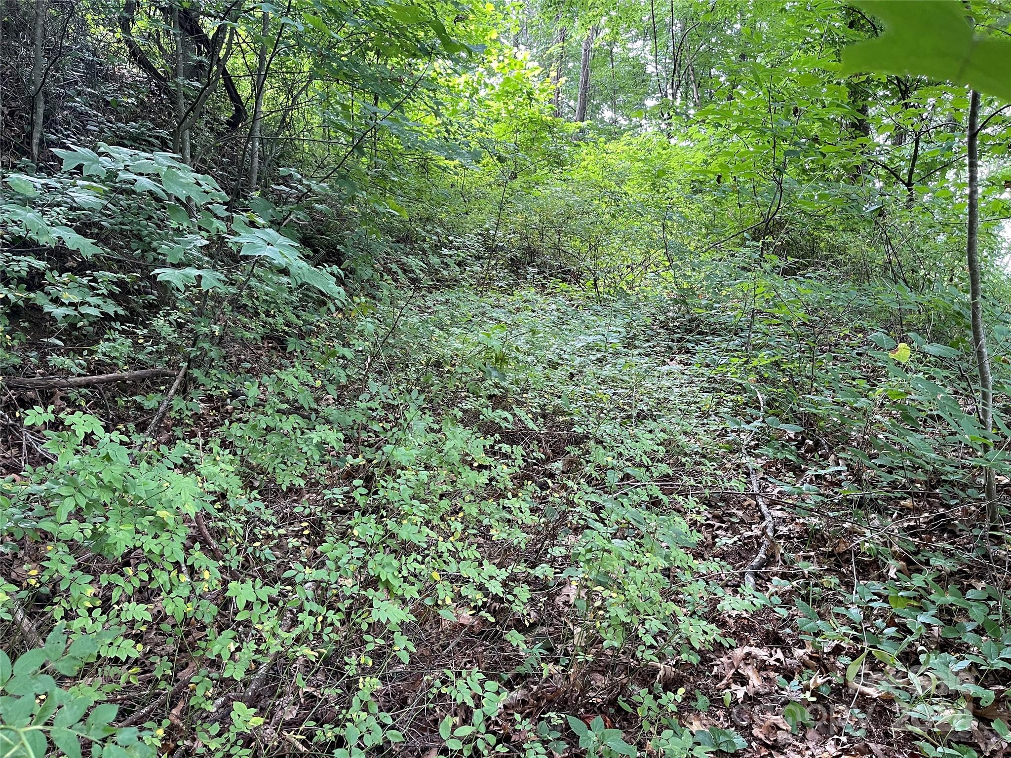 Tbd Friendly Acres Drive Property Photo 11