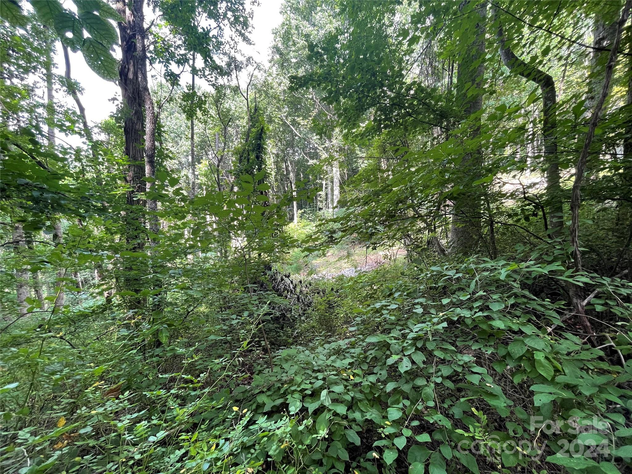 Tbd Friendly Acres Drive Property Photo 12