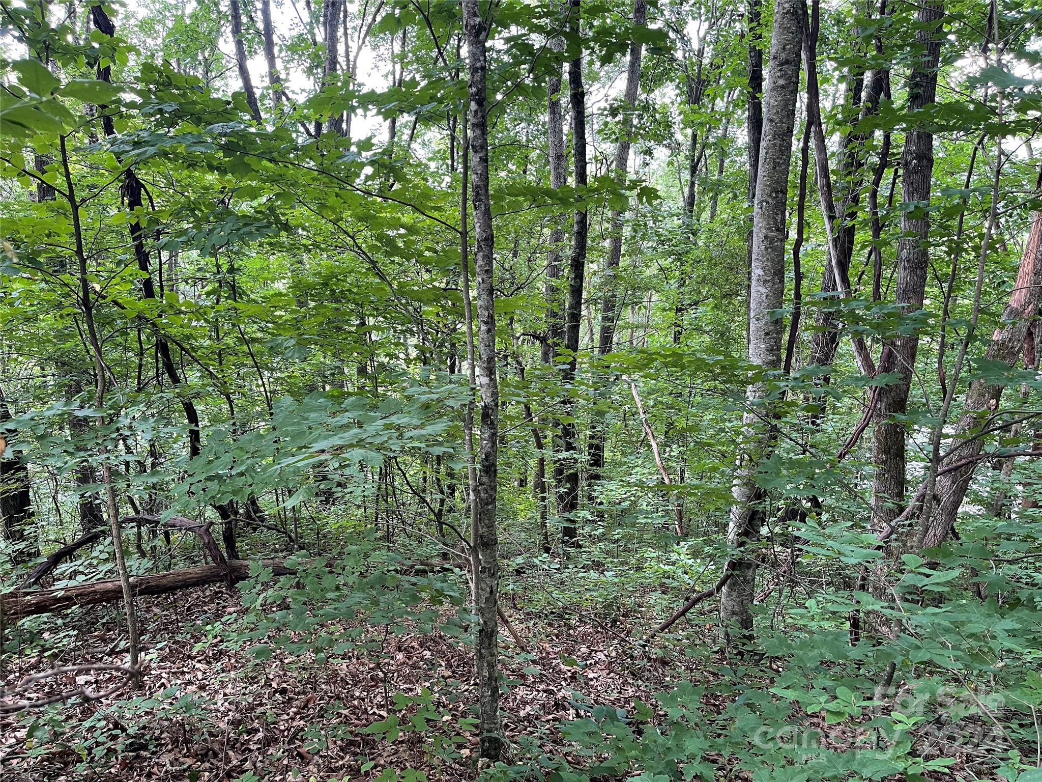 Tbd Friendly Acres Drive Property Photo 14