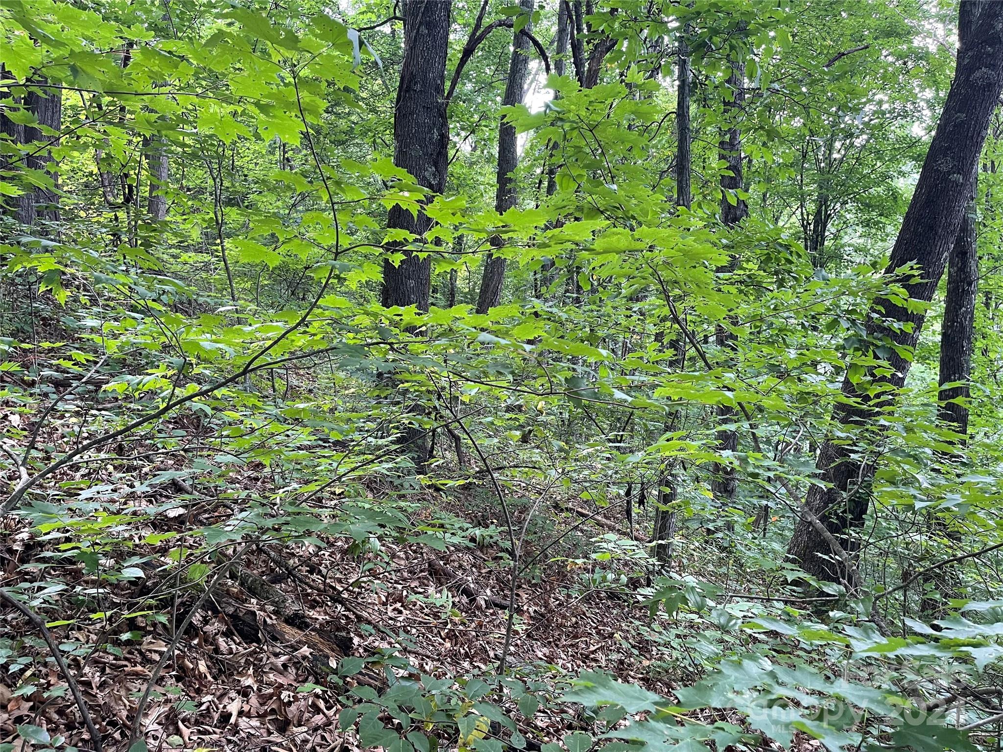 Tbd Friendly Acres Drive Property Photo 15