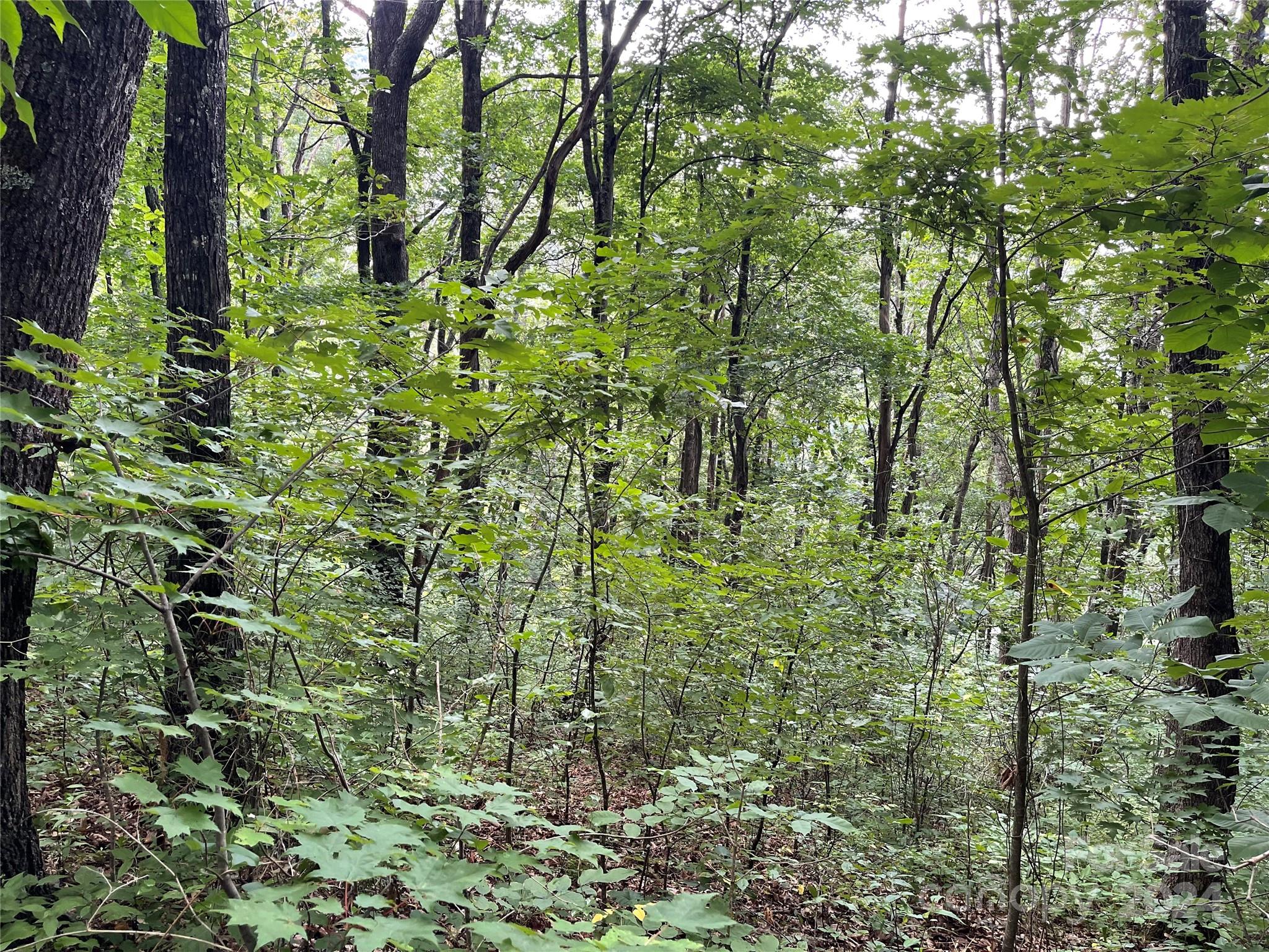Tbd Friendly Acres Drive Property Photo 16