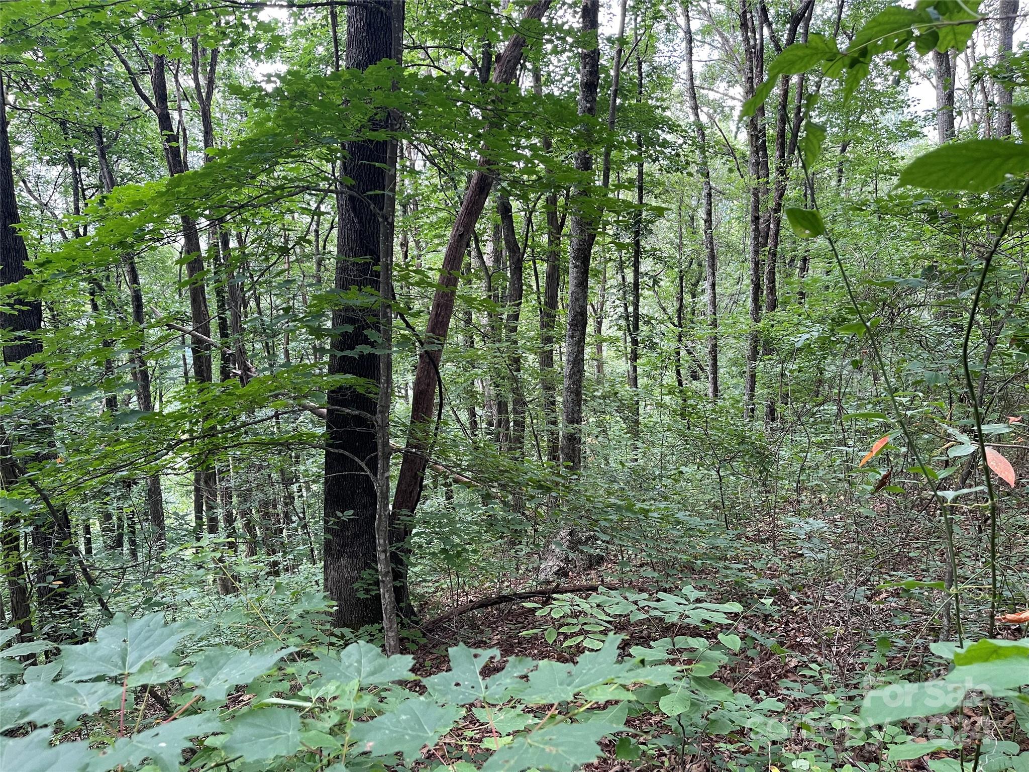 Tbd Friendly Acres Drive Property Photo 17