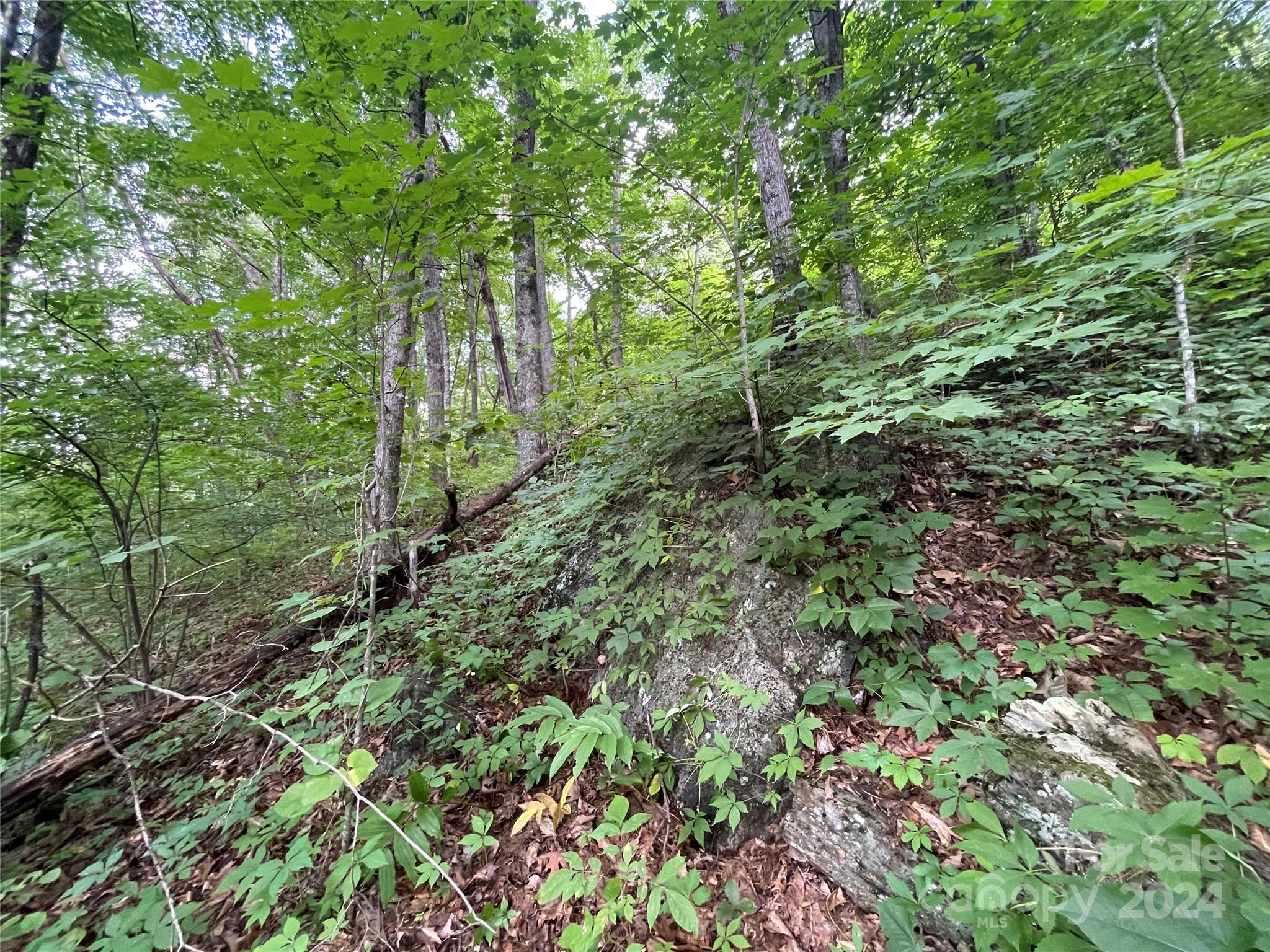 Tbd Friendly Acres Drive Property Photo 19