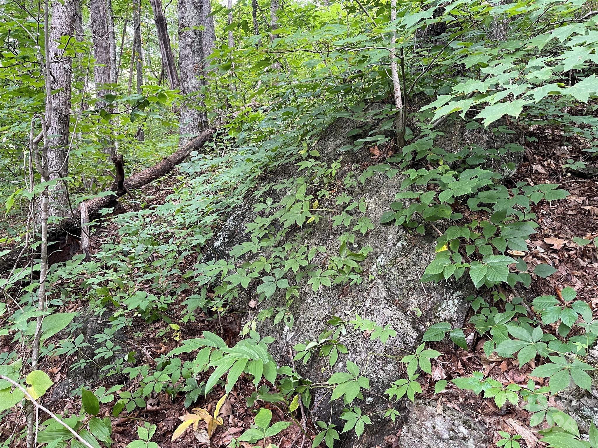 Tbd Friendly Acres Drive Property Photo 20