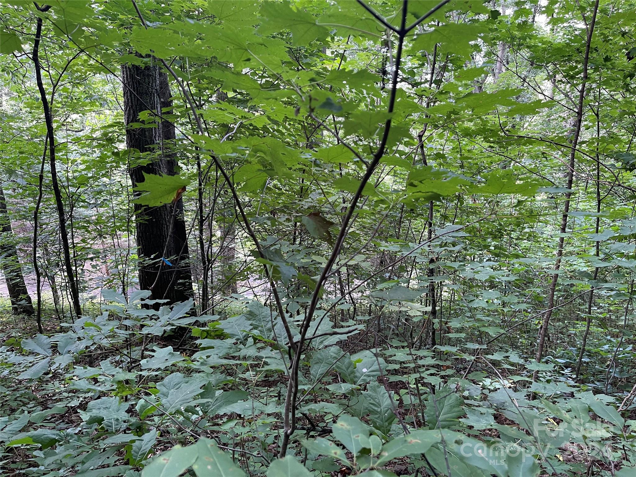 Tbd Friendly Acres Drive Property Photo 23
