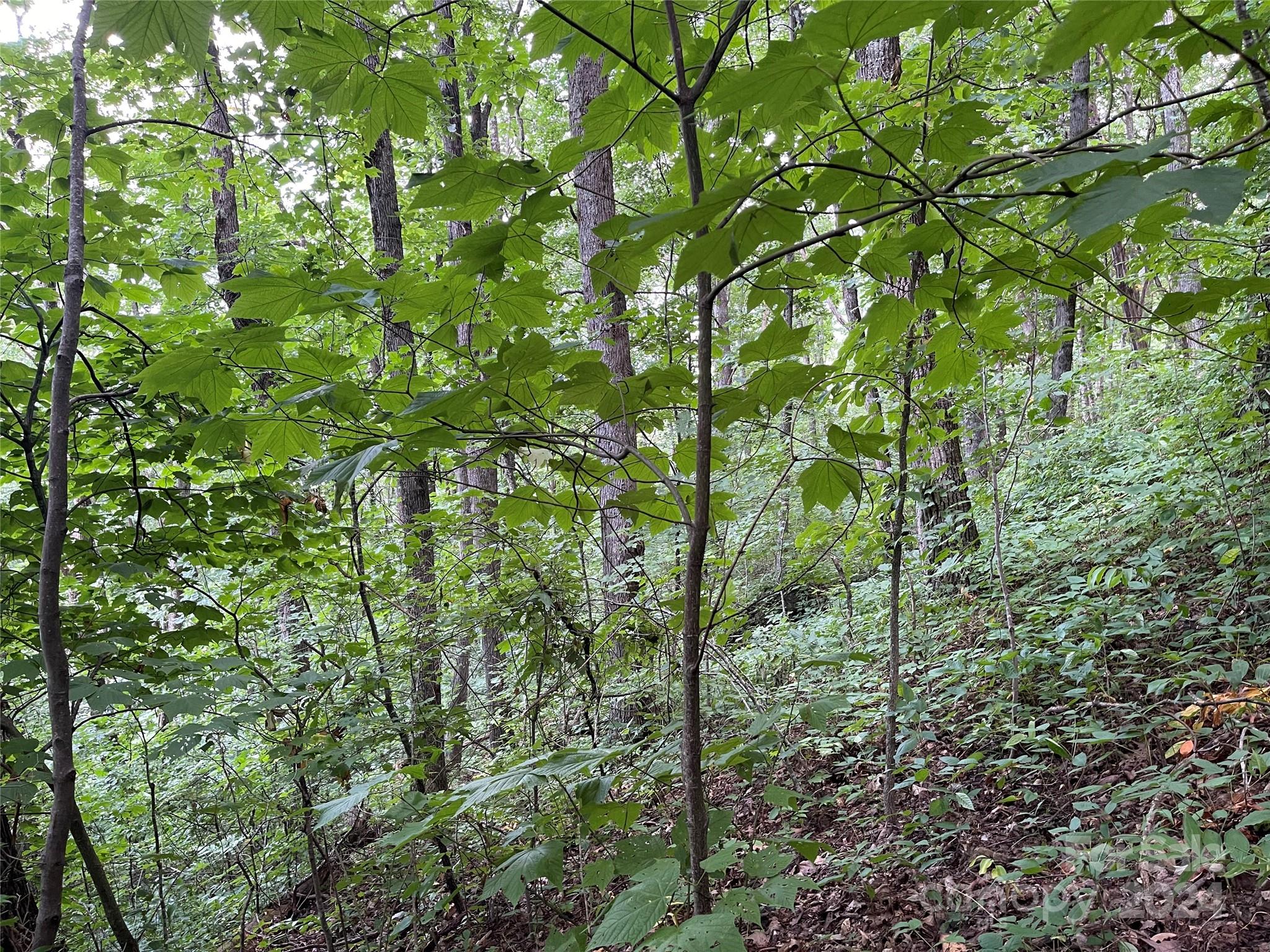Tbd Friendly Acres Drive Property Photo 24