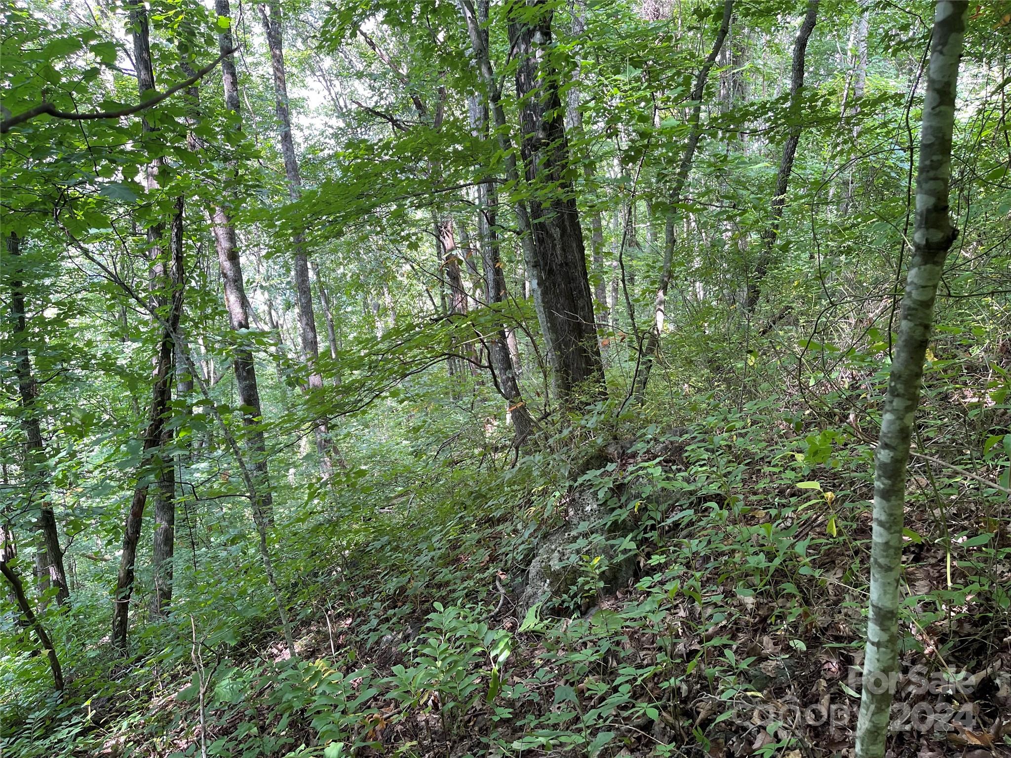 Tbd Friendly Acres Drive Property Photo 25