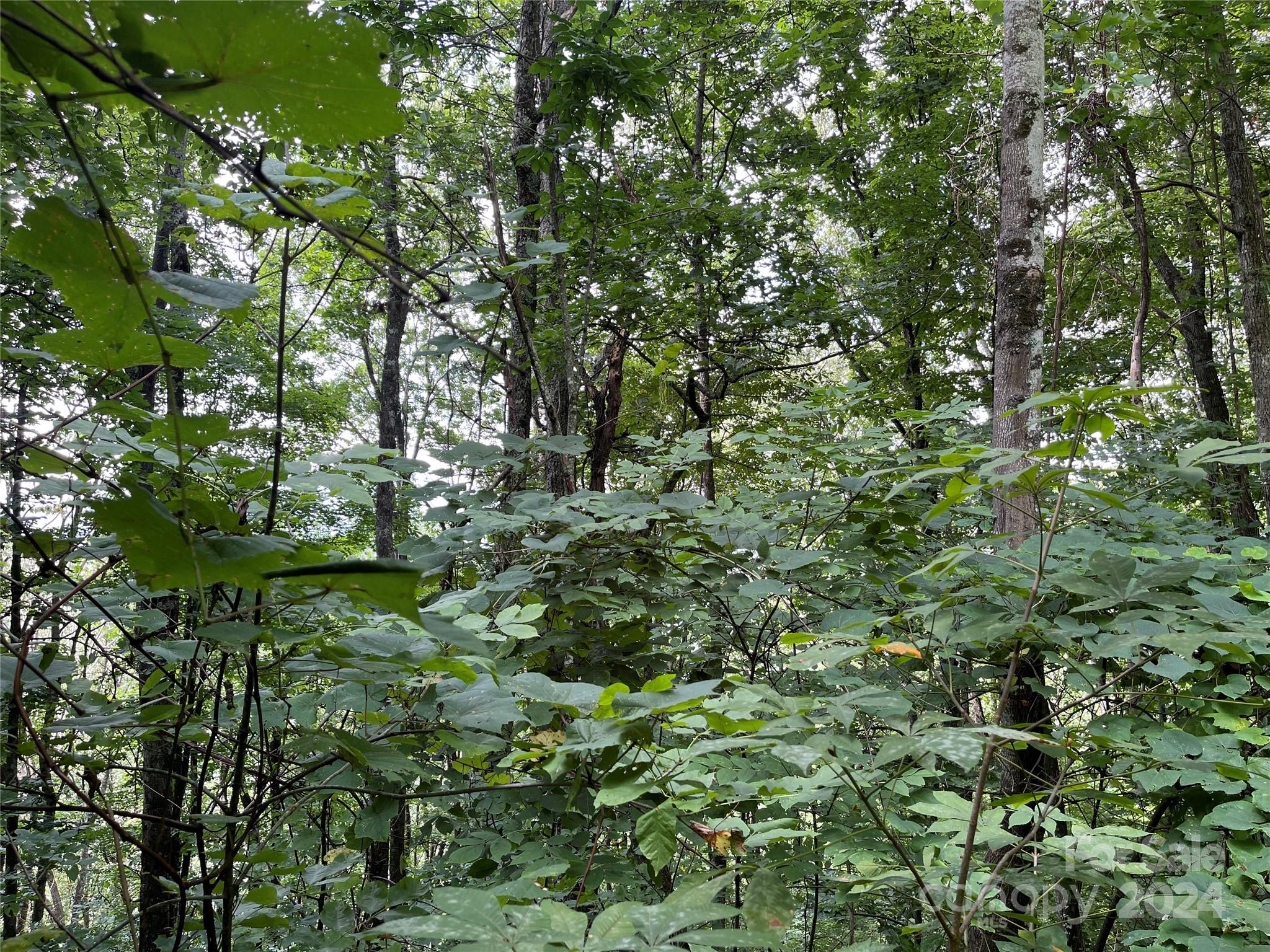 Tbd Friendly Acres Drive Property Photo 27