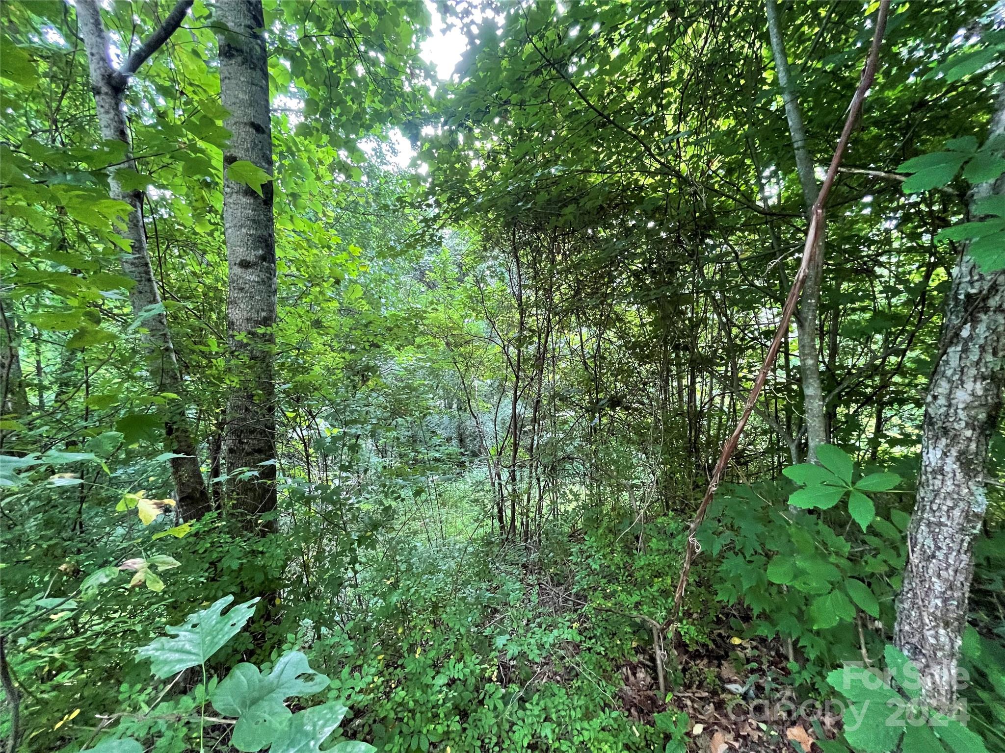 Tbd Friendly Acres Drive Property Photo 29