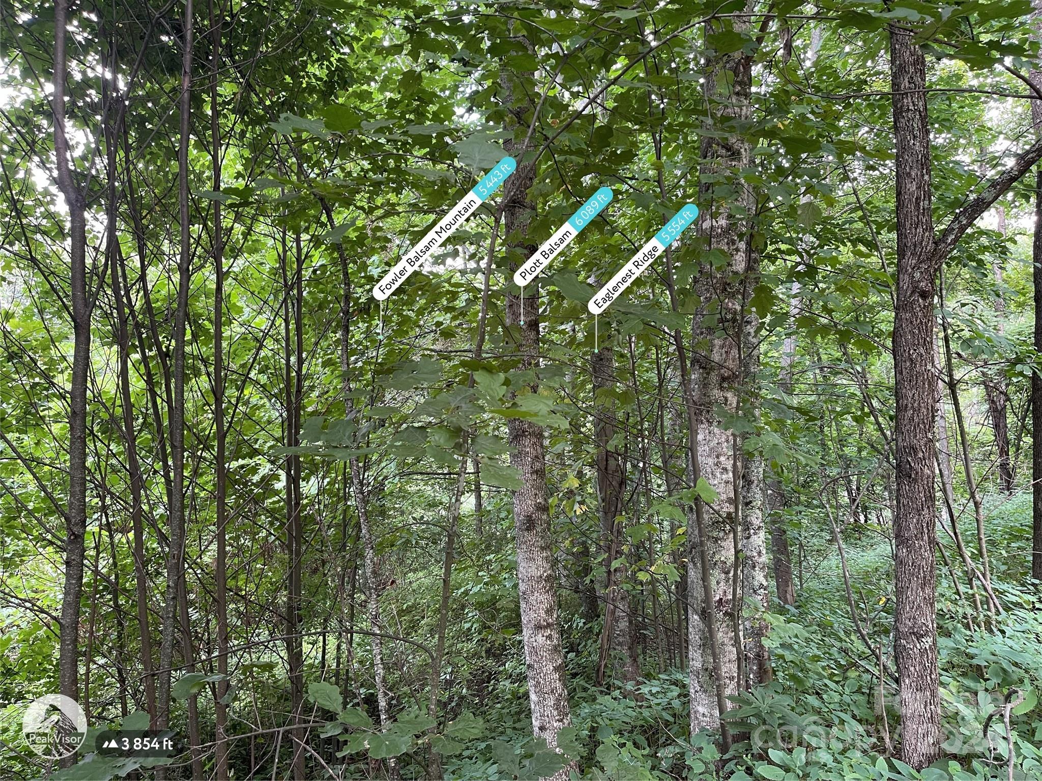 Tbd Friendly Acres Drive Property Photo 31