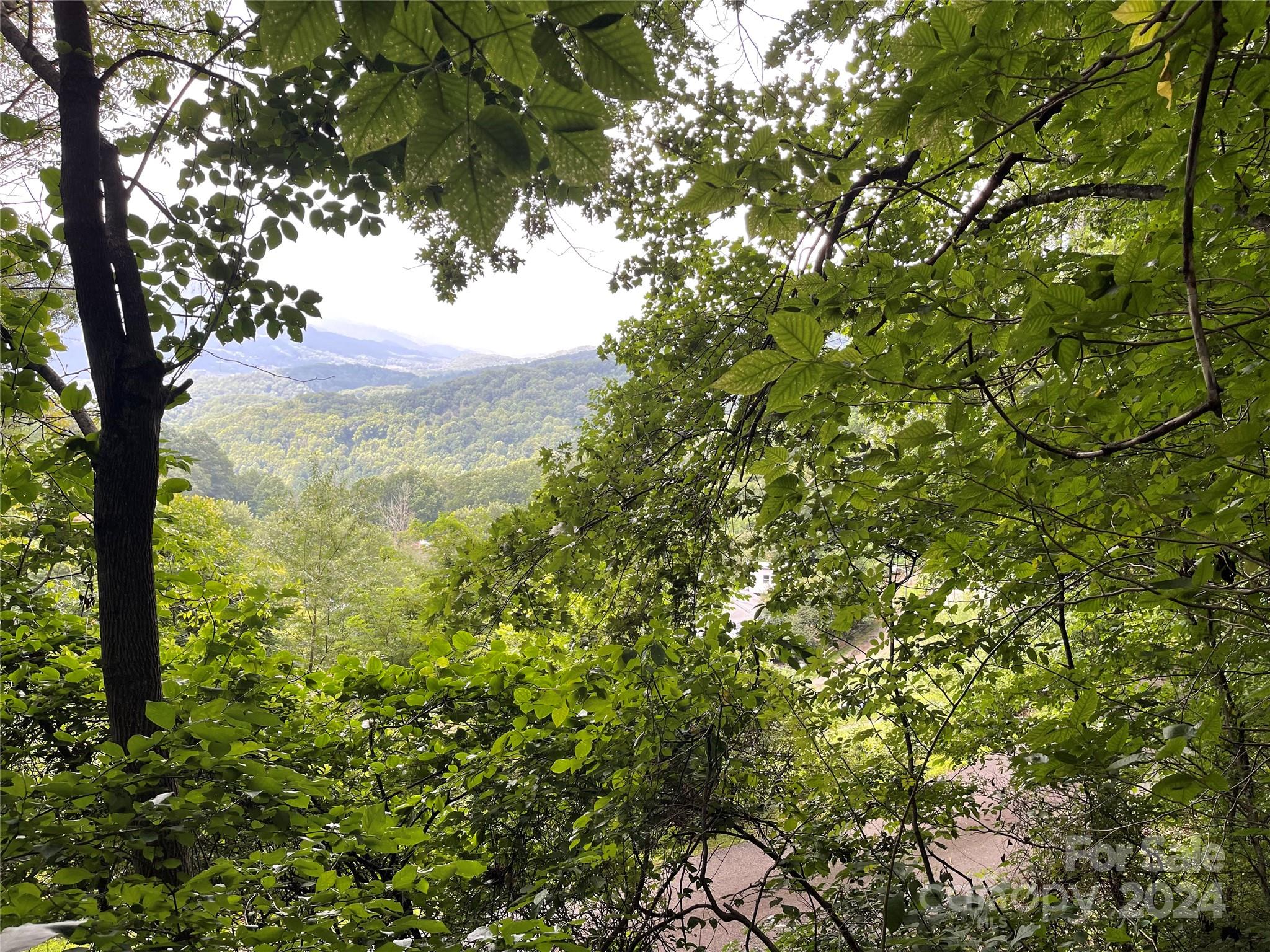 Tbd Friendly Acres Drive Property Photo 33