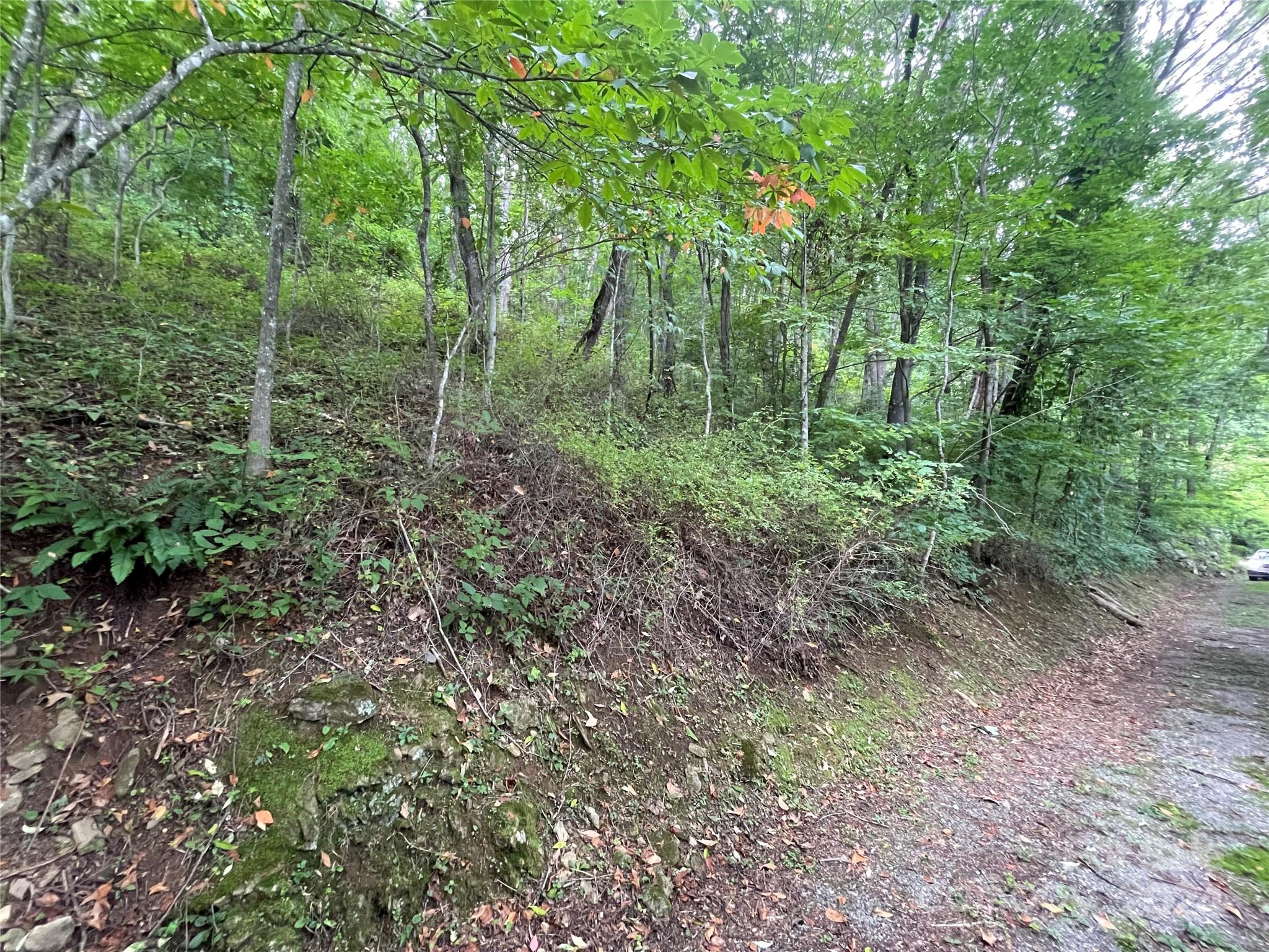 Tbd Friendly Acres Drive Property Photo 34