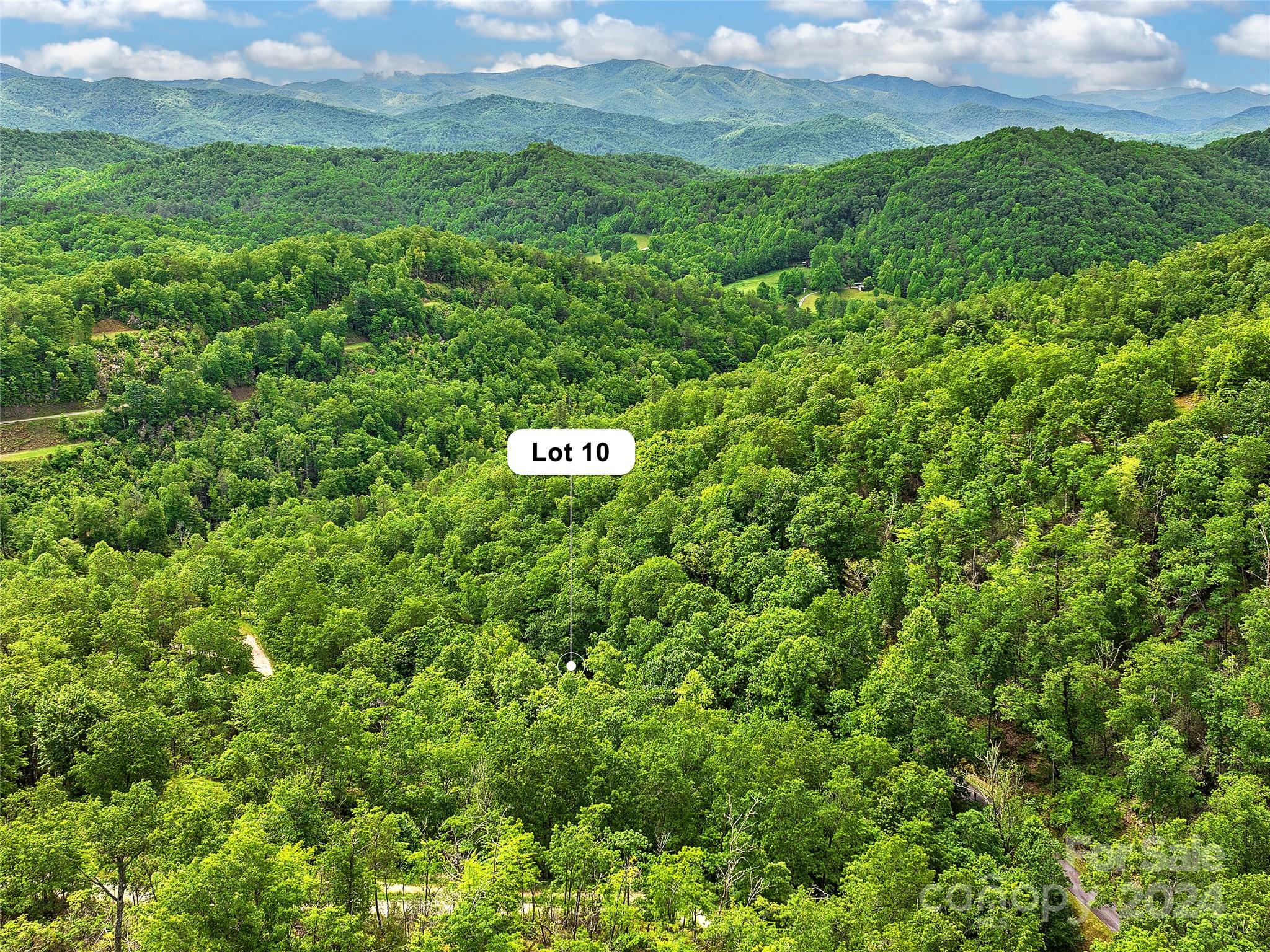 Lot 10 Mystic Forest Way 10 Property Photo 43