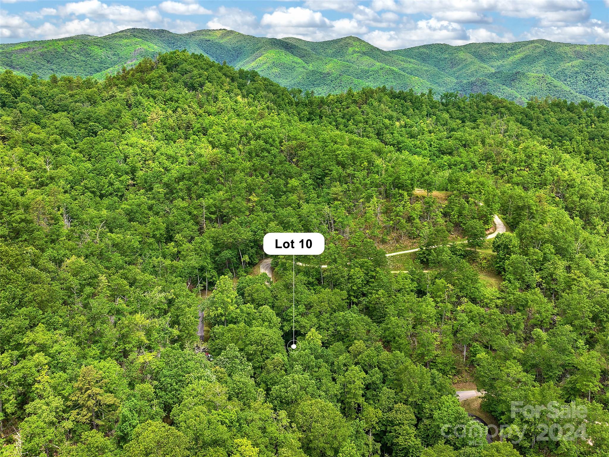 Lot 10 Mystic Forest Way 10 Property Photo 44