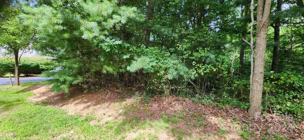 00000 Barebridge Drive 9 Property Photo 2