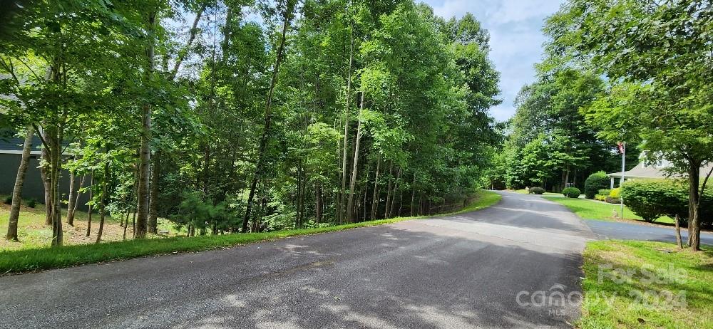 00000 Barebridge Drive 9 Property Photo 8