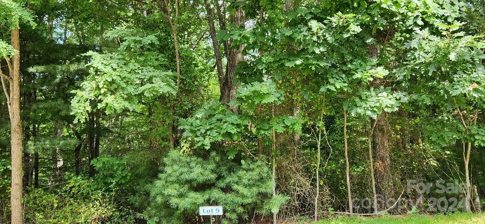 00000 Barebridge Drive 9 Property Photo 10