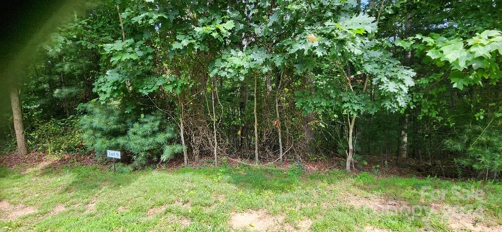 00000 Barebridge Drive 9 Property Photo 13