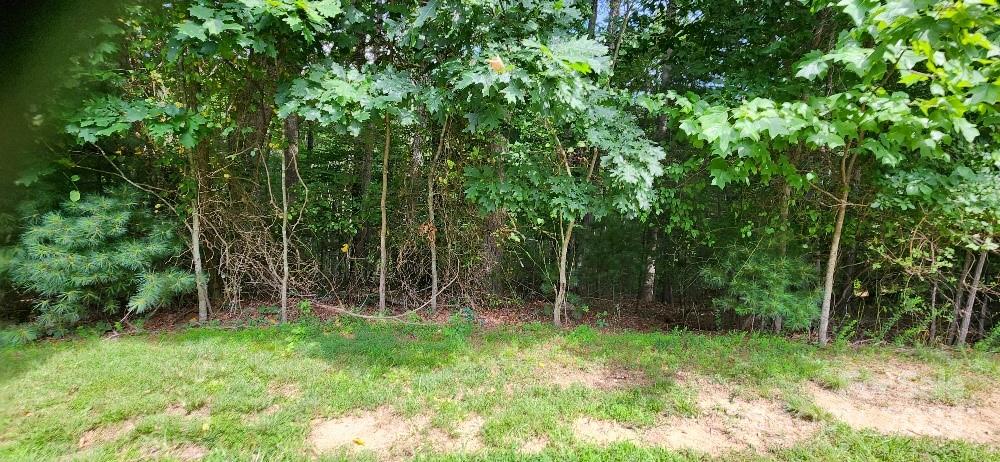 00000 Barebridge Drive 9 Property Photo 14