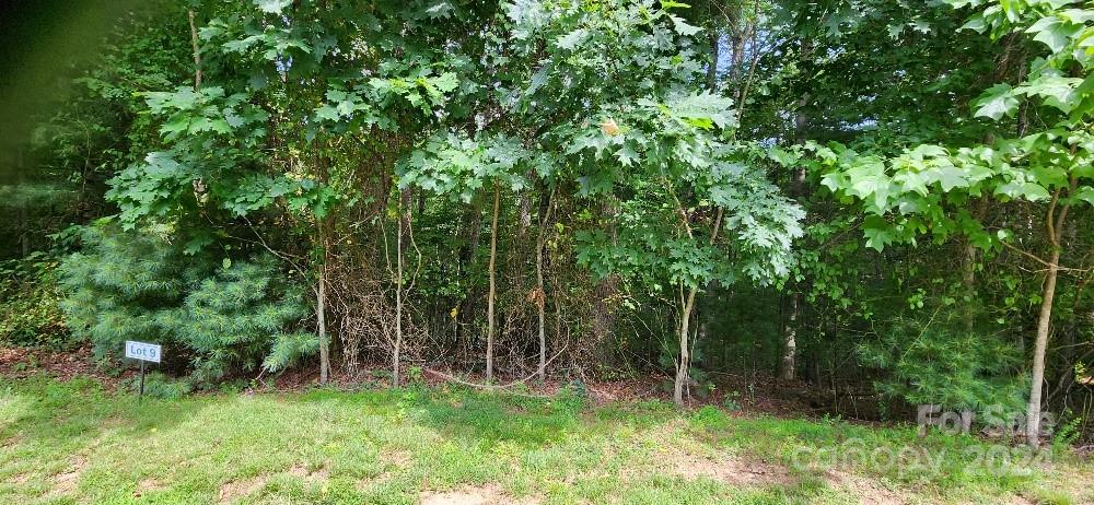 00000 Barebridge Drive 9 Property Photo 15