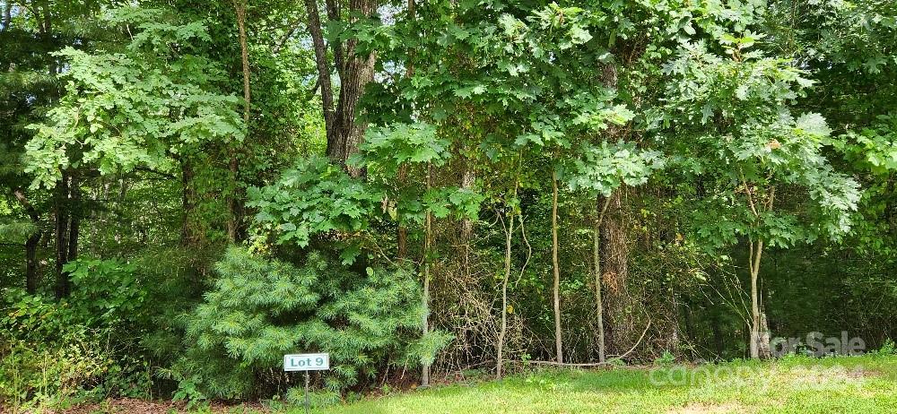 00000 Barebridge Drive 9 Property Photo 17