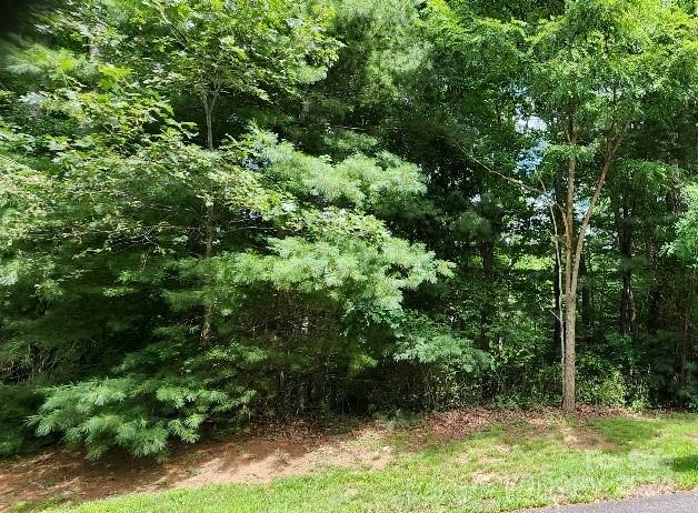00000 Barebridge Drive 9 Property Photo 18