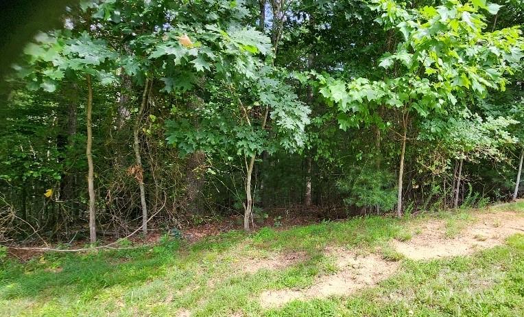 00000 Barebridge Drive 9 Property Photo 19