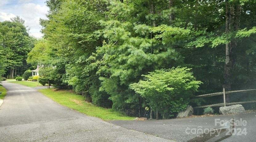 00000 Barebridge Drive 9 Property Photo 20