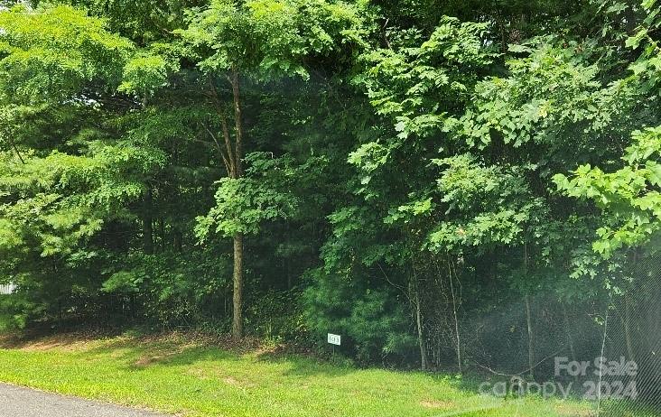00000 Barebridge Drive 9 Property Photo 21