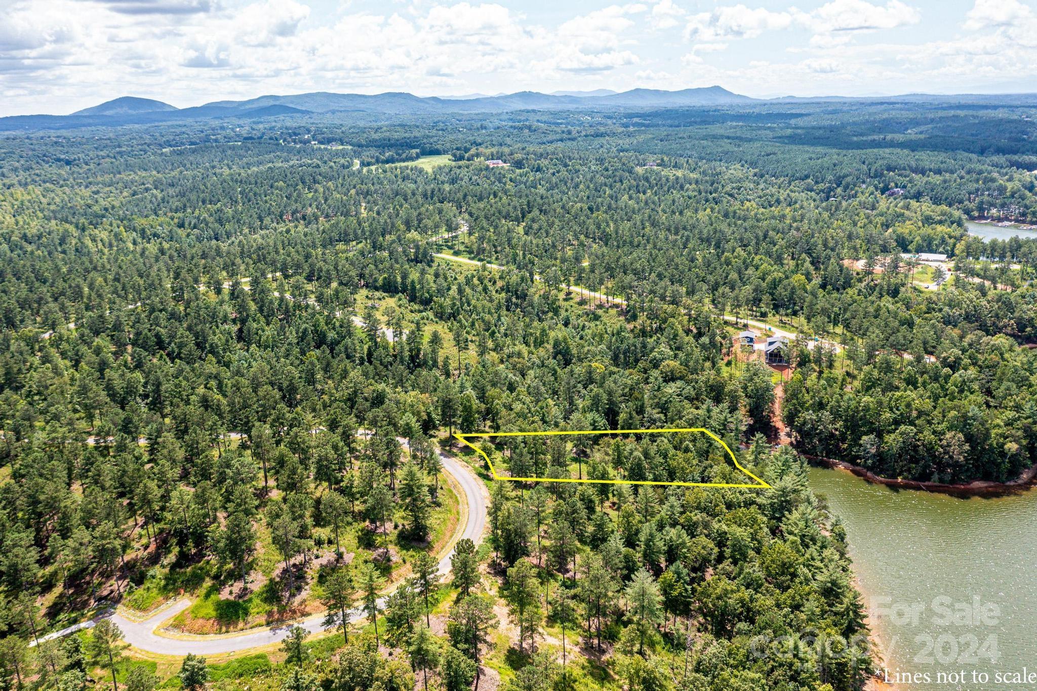 2175 Castle Peak Mountain Road Property Photo 3