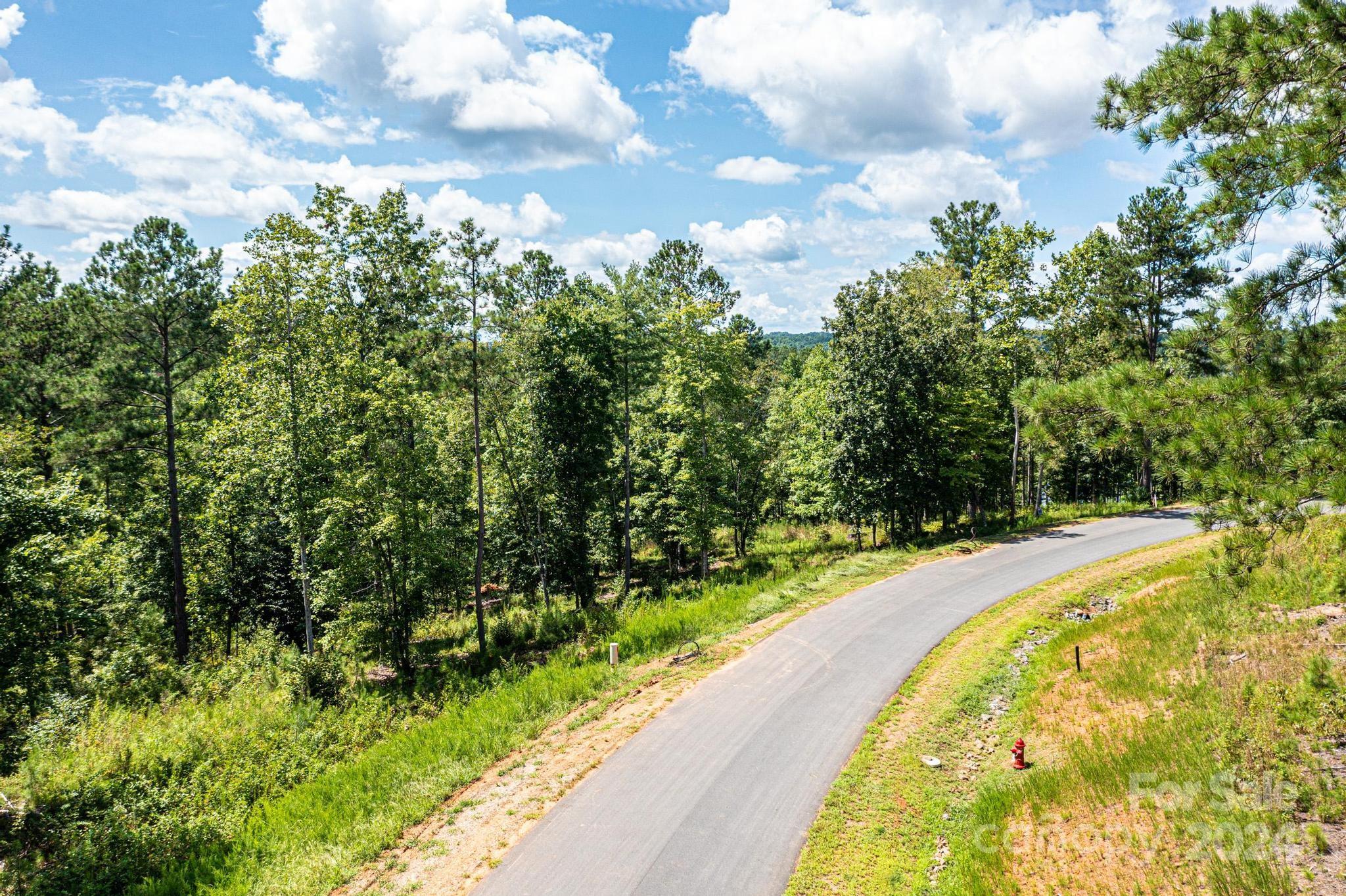 2175 Castle Peak Mountain Road Property Photo 6