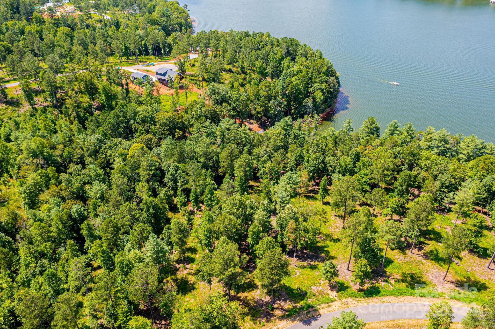 2175 Castle Peak Mountain Road Property Photo 7